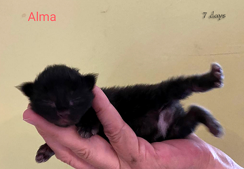 Zum Schlieen Foto anklicken!