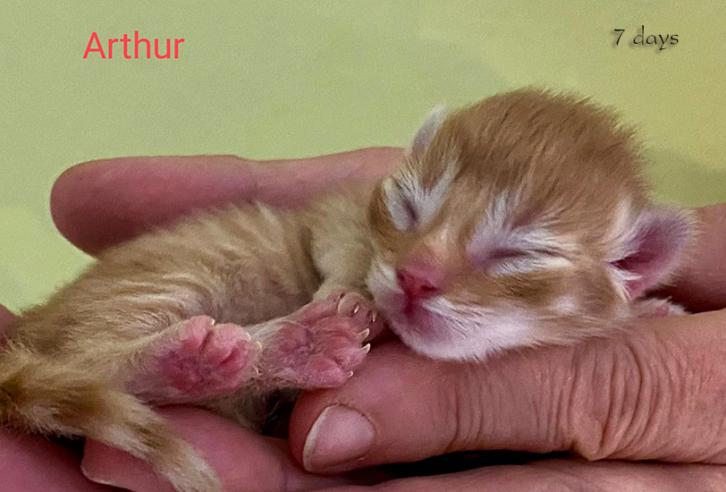 Zum Schlieen Foto anklicken!