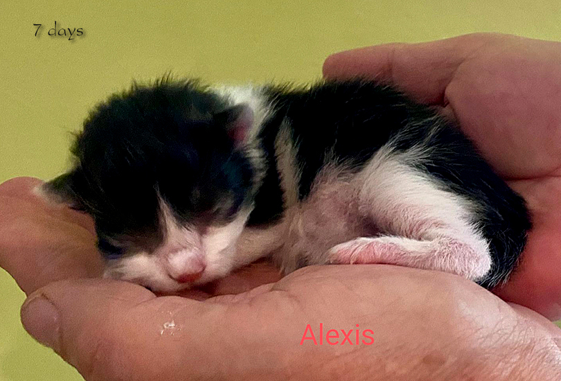 Zum Schlieen Foto anklicken!